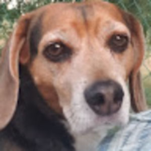 Meet your Posher, Stefan